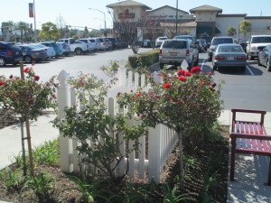 fenced-in garden