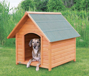 Staying out of the Heavenly Doghouse