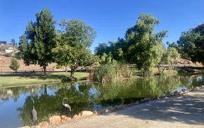 A Reflection of Heaven